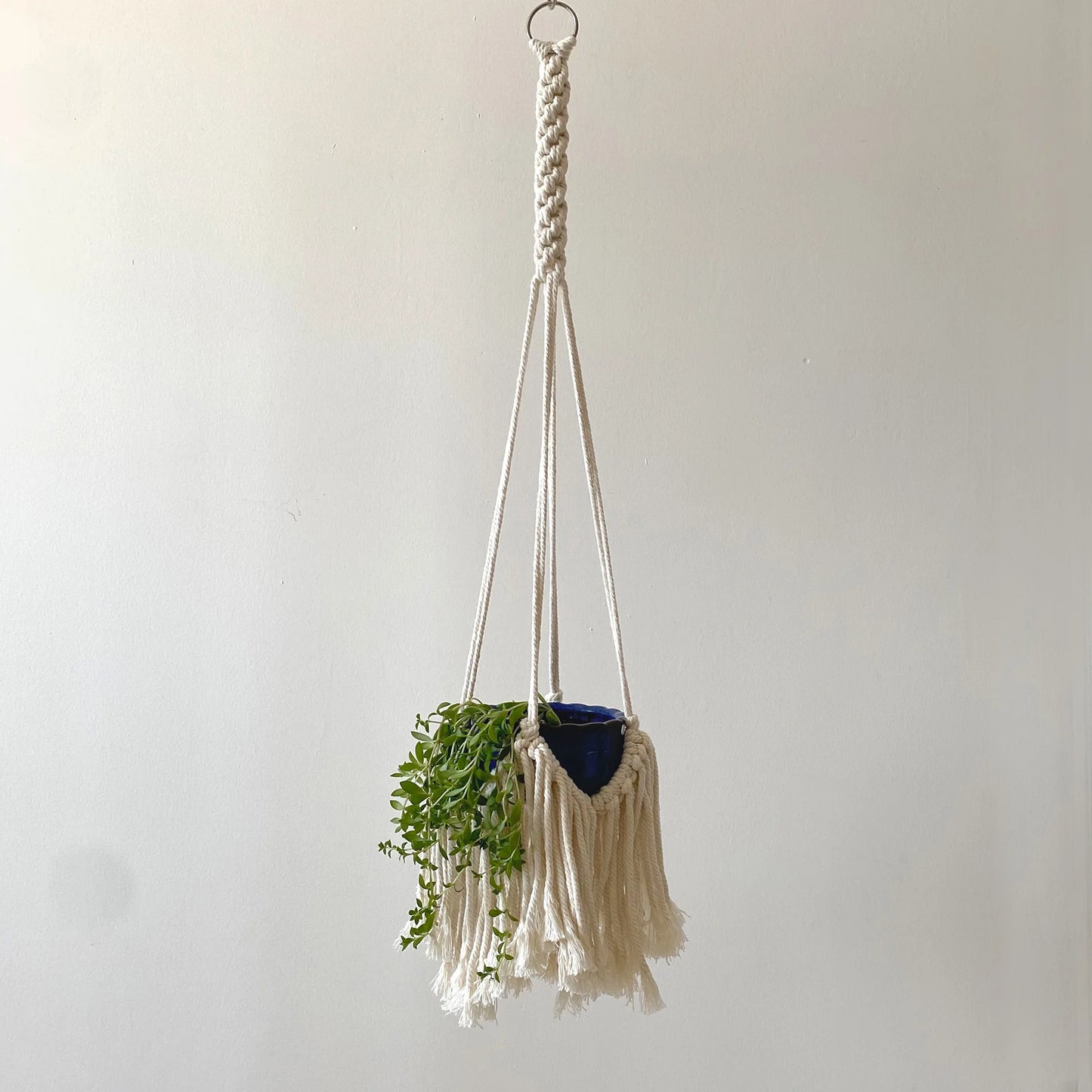 Boho Macrame Plant Holder | Hand-Woven 100% Cotton Hanging Basket for Indoor Plants & Bonsai Home Décor