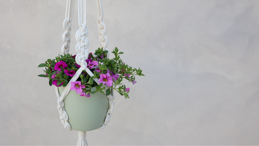 Bring Nature Indoors with Handmade Macrame Plant Hangers from Crowns Cart