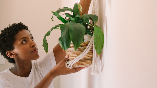 Elevate Your Indoor Space with Handmade Macrame Plant Hangers from Crowns Cart