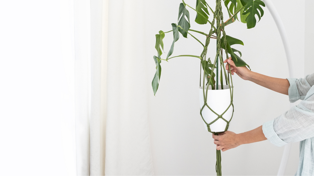 Add Style and Greenery to Your Home with Handmade Macrame Plant Hangers from Crowns Cart
