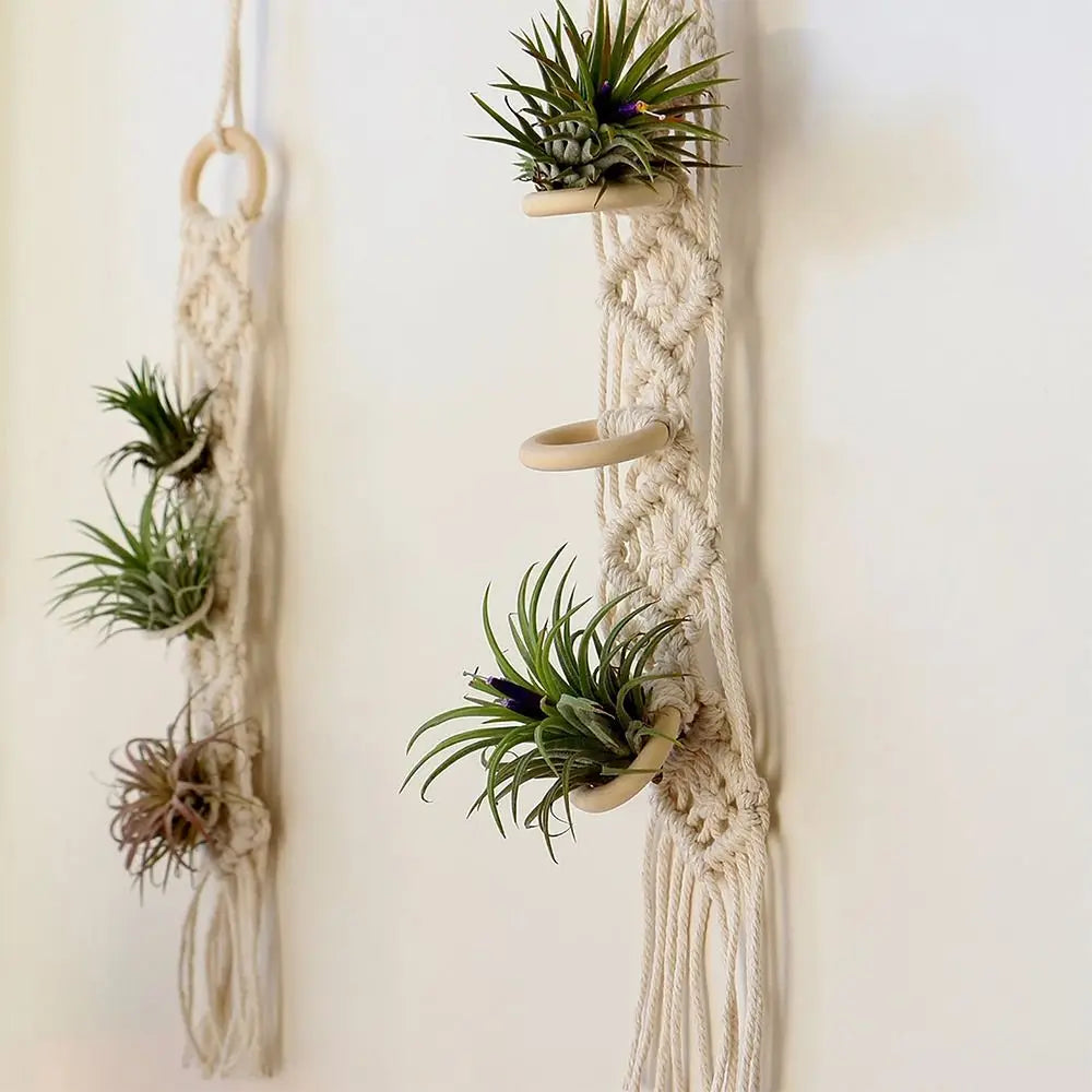 Handmade Macrame Plant Hanger | Cotton Rope Hanging Planter for Indoor Living Room, Balcony & Garden Décor