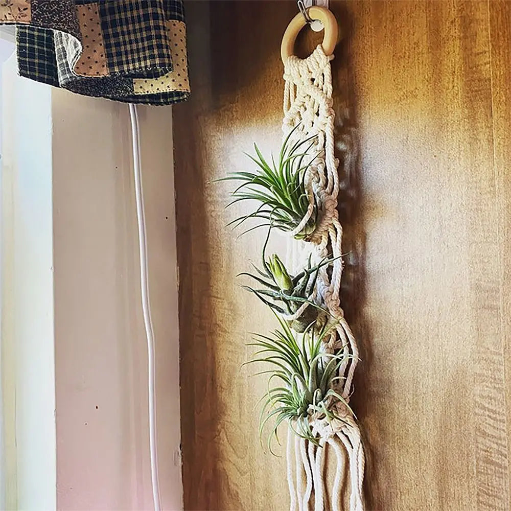 Handmade Macrame Plant Hanger | Cotton Rope Hanging Planter for Indoor Living Room, Balcony & Garden Décor