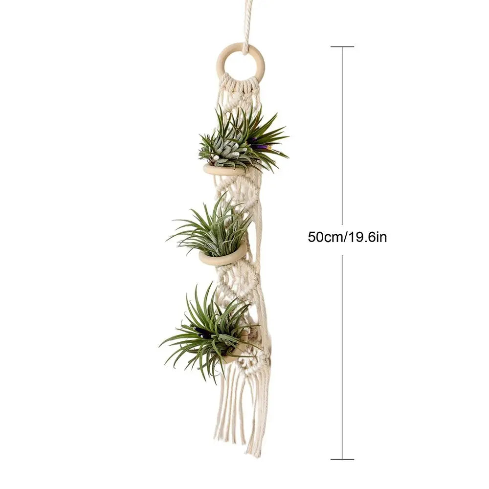 Handmade Macrame Plant Hanger | Cotton Rope Hanging Planter for Indoor Living Room, Balcony & Garden Décor