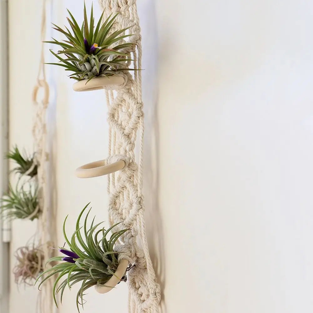 Handmade Macrame Plant Hanger | Cotton Rope Hanging Planter for Indoor Living Room, Balcony & Garden Décor