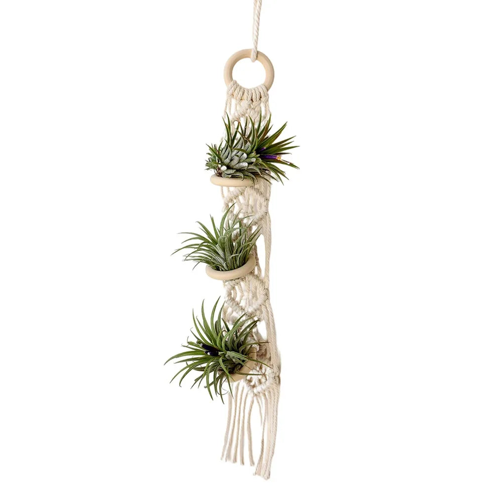 Handmade Macrame Plant Hanger | Cotton Rope Hanging Planter for Indoor Living Room, Balcony & Garden Décor