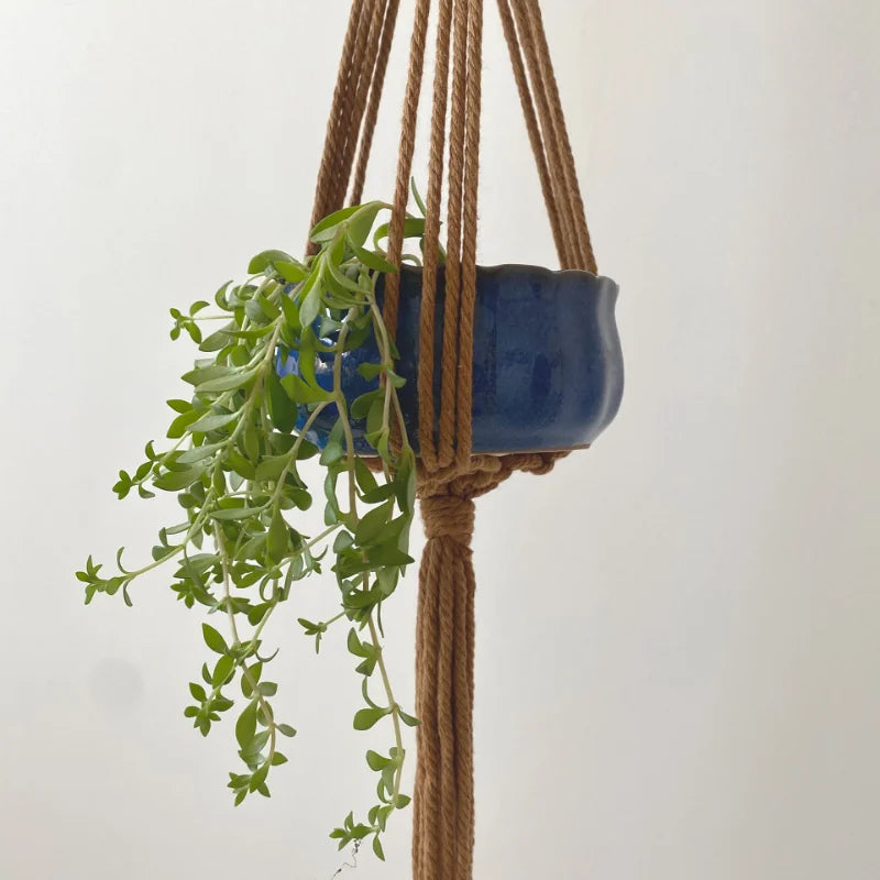 Boho Macrame Plant Holder | Hand-Woven 100% Cotton Hanging Basket for Indoor Plants & Bonsai Home Décor